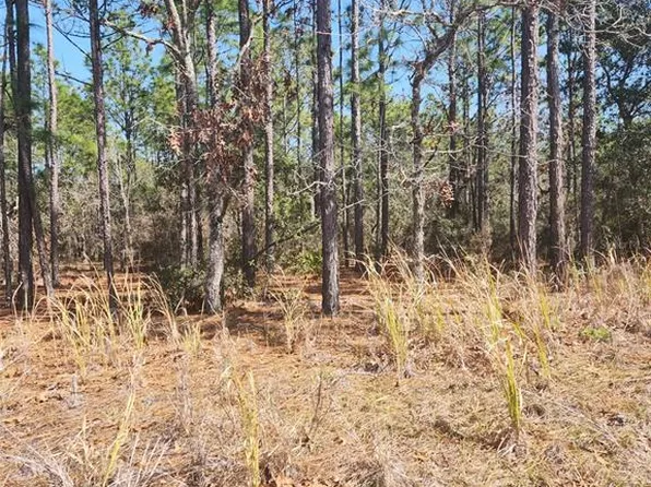 4379 N Baywood Dr #32, Beverly Hills, FL 34465