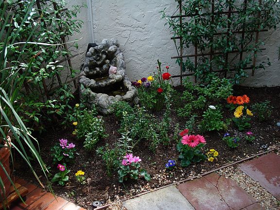 Patio Garden