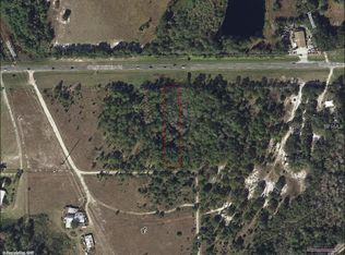 Osceola Polk Line Rd, Davenport, FL 33896