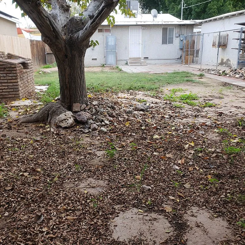 3 bed, 2.0 bath, 1144 sqft, $1,500 — Photo 3