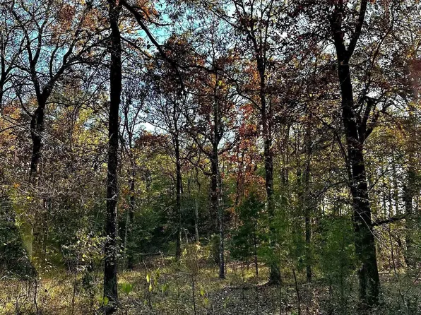 (undisclosed Address), Cove, AR 71937