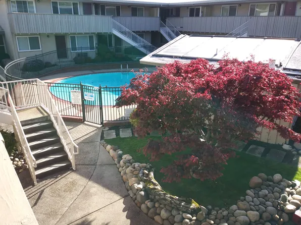 Ming Tree Apartments