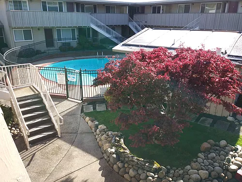 Ming Tree Apartments Photo 1 Ming Tree Apartments Photo 1