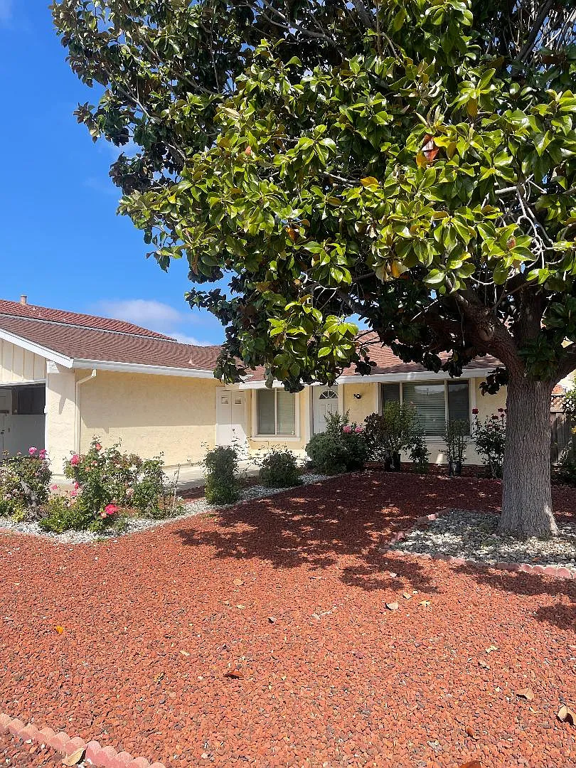 Building Photo - 4841 Delores Dr