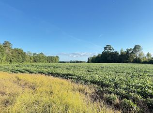 Norton Rd LOT WP001, Nichols, SC 29581