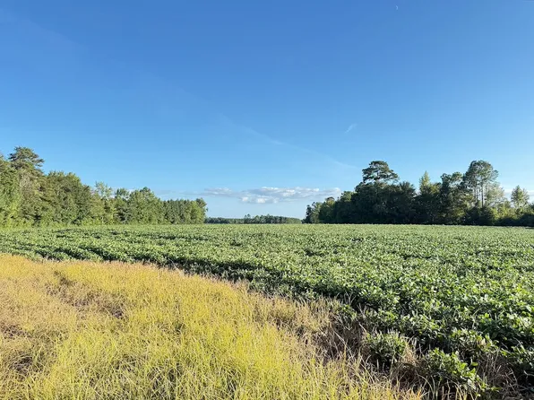 Norton Rd Lot Wp001, Nichols, SC 29581