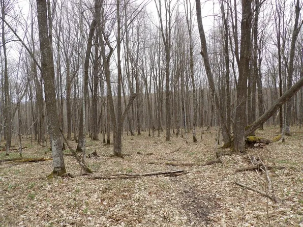 N Tower Rd, Winter, WI 54896