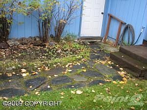 Hidden View (DP) 003