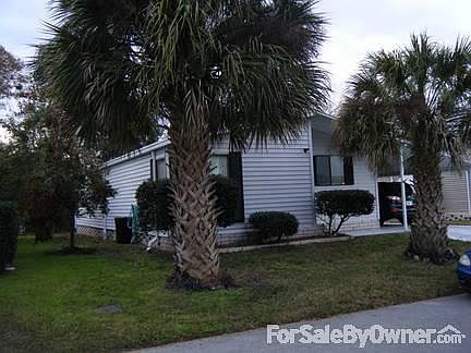 Florida Living
						:
						Landscaping with beautiful palms and irrigation system.