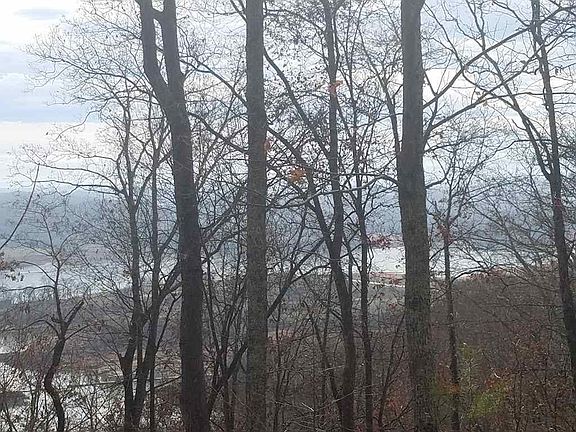 3rd image of 810 Wilderness Dr