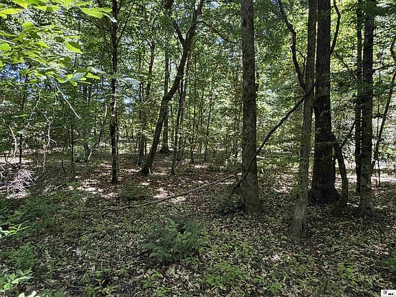 5th image of 0 Wheeler Rd