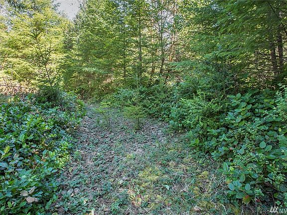 2nd image of 356 Blueberry Hill Dr