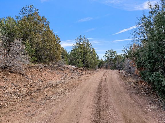 Sunnybrook Trail - Road Frontage