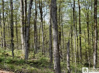 Farrington Hollow Rd LOT 24, Cherry Creek, NY 14723
