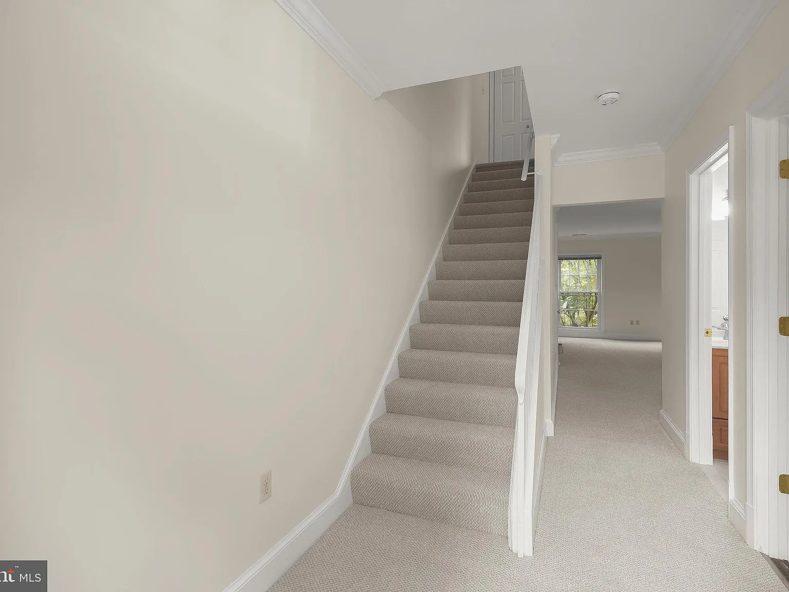 Wesley Heights — Photo 2