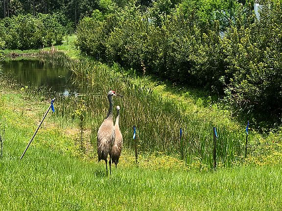 Community Conservation Attracts Many Visitors