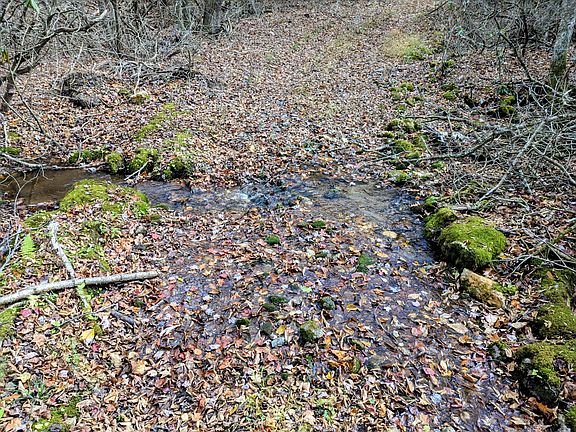 47th image of this home