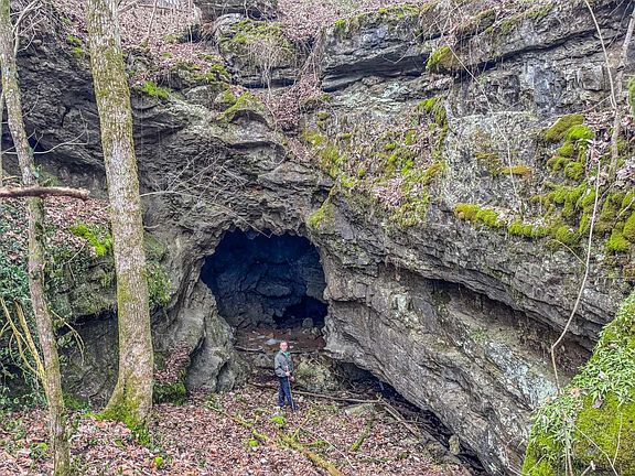 5th image of 7942 Priceville Rd