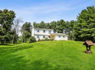 11 Michael Ln, Ringoes, NJ