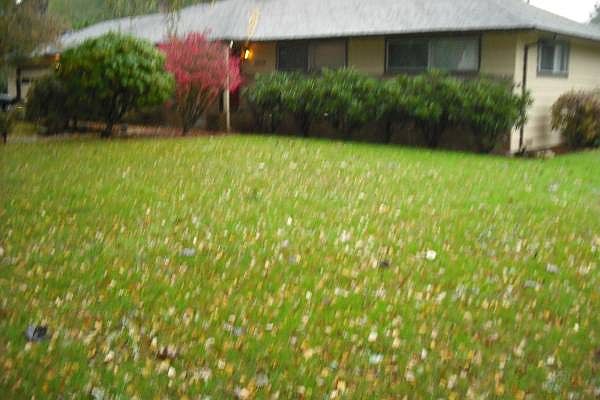 2nd image of 4908 NE 101st Cir