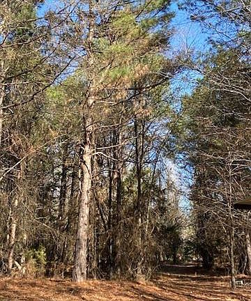 4th image of 100ACR E County Road 3311