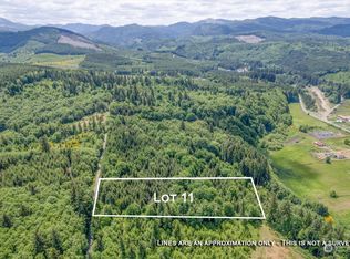 11 Hill St, Pe Ell, WA 98572