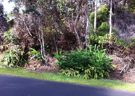 2nd image of 19-4074 Kilauea Pl Lot 10