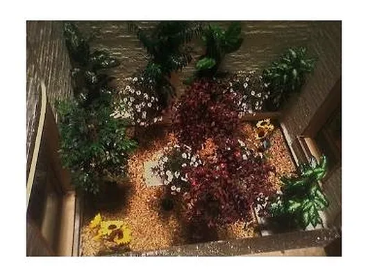 Rented by ADAR 2000 INC | media 9