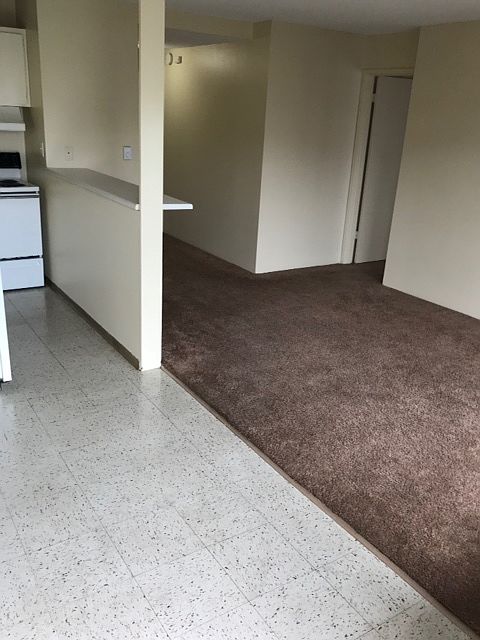 1st image of 4131 11th Ave NE APT 503
