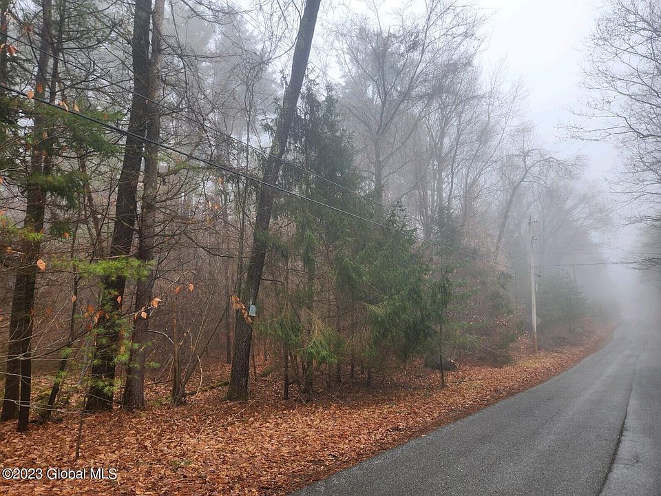 375 Ballou Road, Porter Corners, NY 12859 Zillow