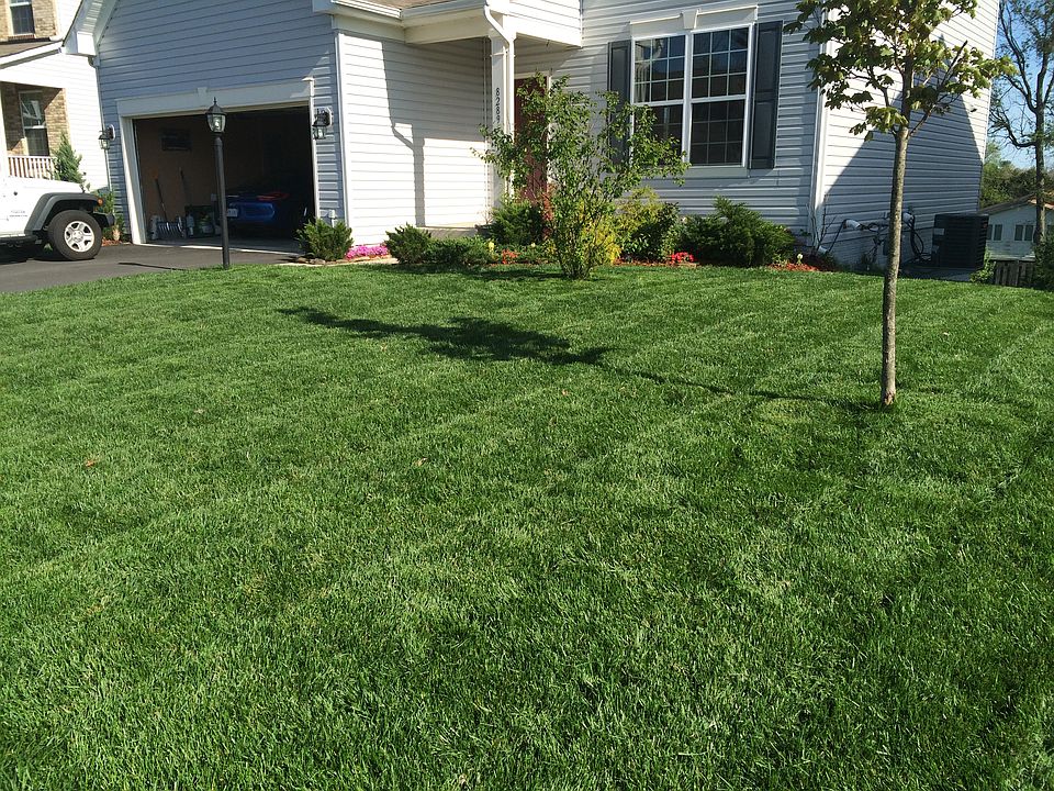 2nd image of 8289 Mineral Springs Dr