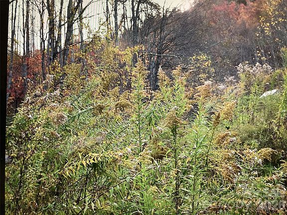 5th image of Prices Creek Rd