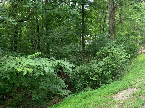 139 Ootsima Way, Loudon, TN 37774