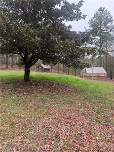 8951 Old 88 Rd, Rudy, AR, 72952