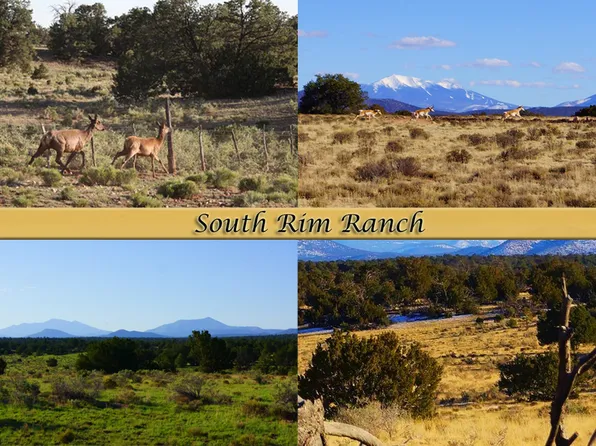 2913 Red Butte Rd, Williams, AZ 86046