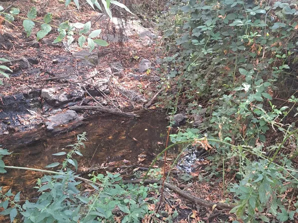 38168 Barberry Ln, Squaw Valley, CA 93675