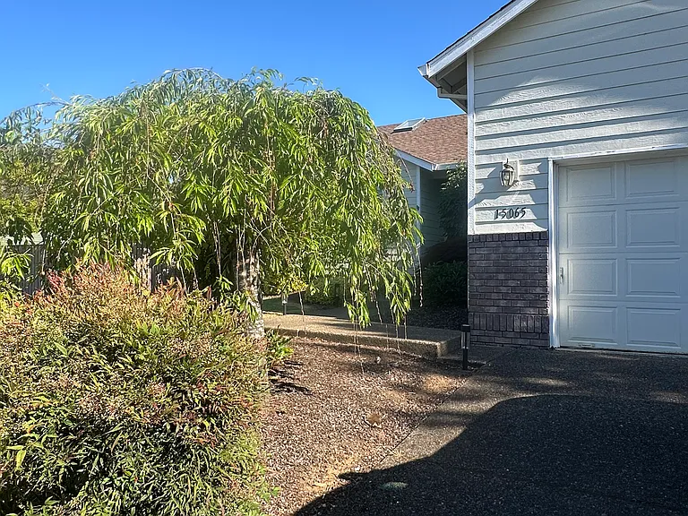 Front entrance - path to front door.