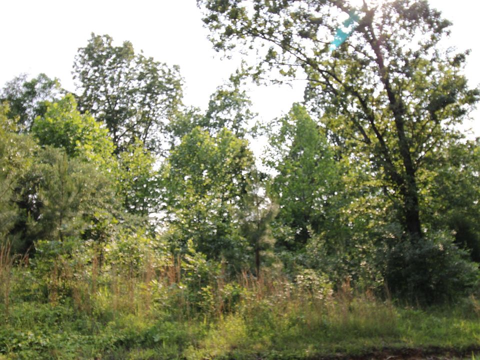 1st image of 0 Lillie Ln #15