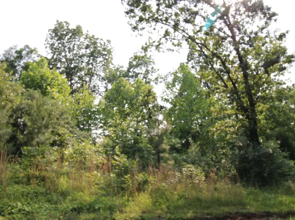 0 Lillie Ln #15, Gilbertsville, KY 42044