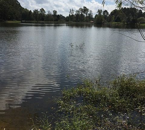 5th image of 70 Walker Lake Dr