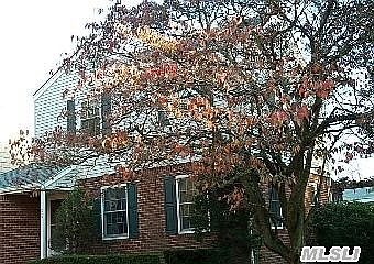1st image of 156 Meadow St