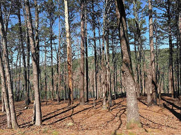 3rd image of (Undisclosed Address)