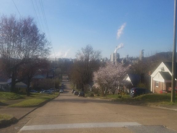 4th image of 533 Fairmont Ave