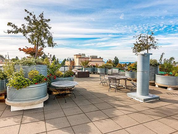 Roof Deck