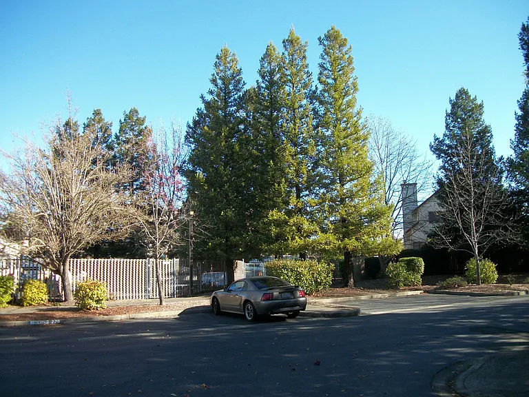 363 Occidental Cir — Photo 13