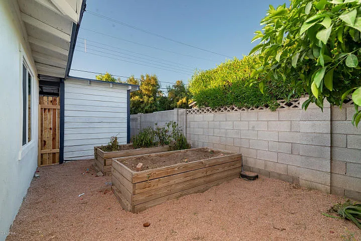 amelia garden_01252022
