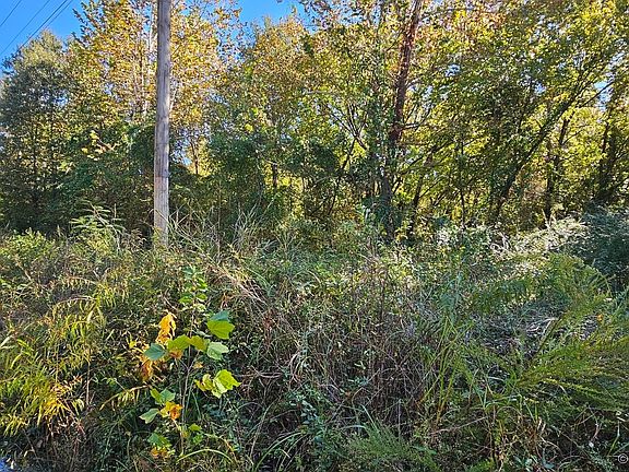 3rd image of 0 E 1030th Rd