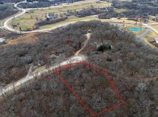 45 Lookout Trce, Galena, IL 61036