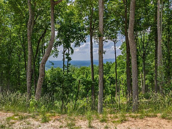 2nd image of 411 Calloway Mountain Rd