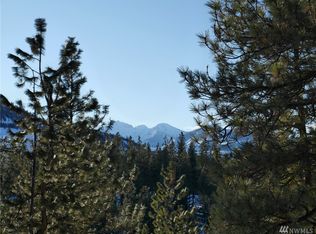 24 Palomino Dr, Winthrop, WA 98862